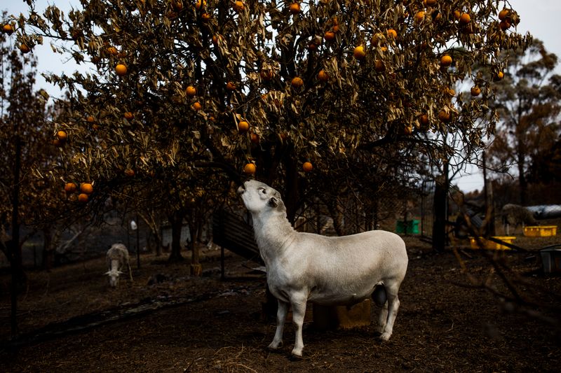 © Sean Davey - Image from the Beyond the Fire photography project