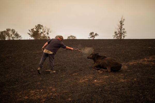 © Sean Davey - Image from the Beyond the Fire photography project