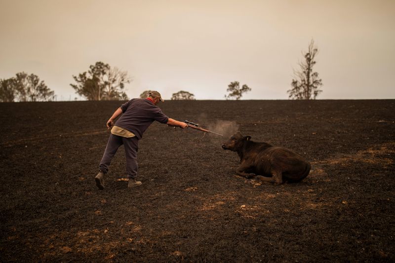 © Sean Davey - Image from the Beyond the Fire photography project