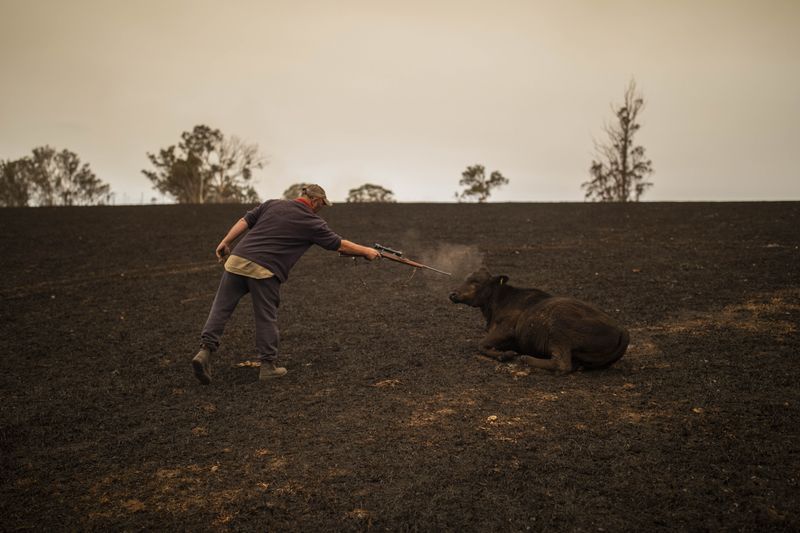 © Sean Davey - Image from the Beyond the Fire photography project
