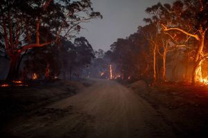Beyond the Fire