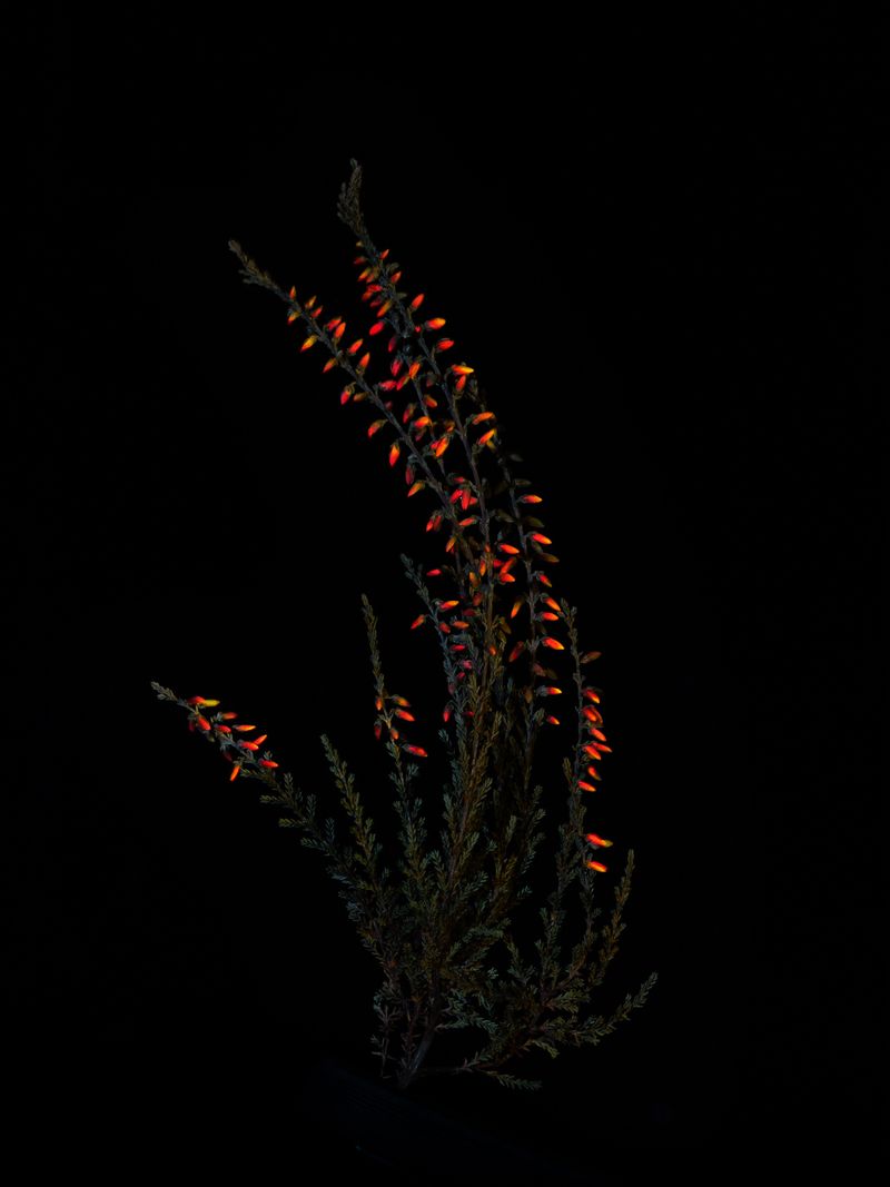 © Federico Ciamei - Image from the Travel without moving photography project