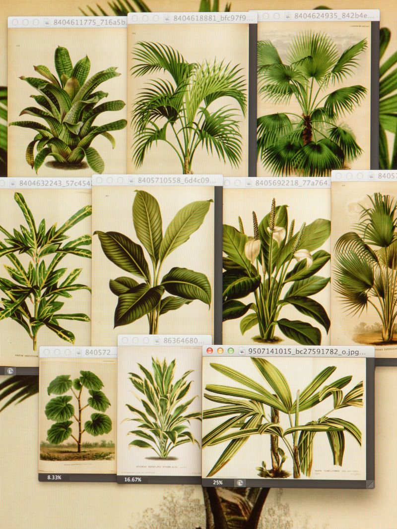 © Federico Ciamei - Image from the Travel without moving photography project