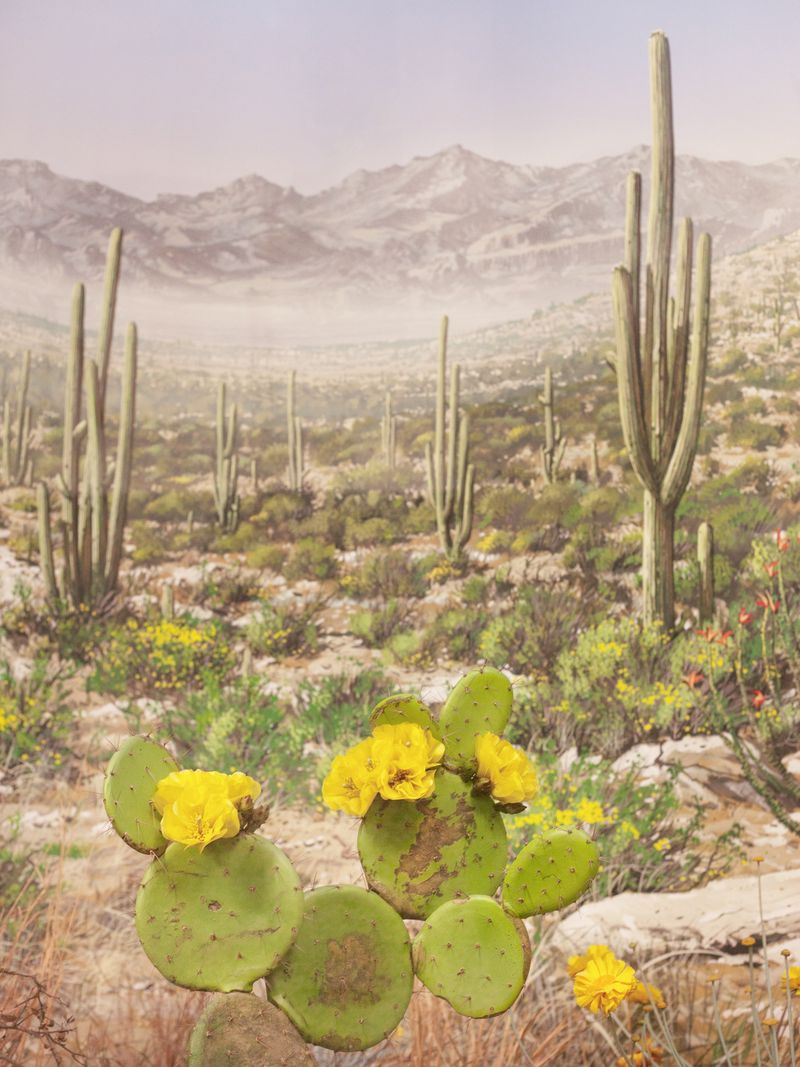 © Federico Ciamei - Image from the Travel without moving photography project