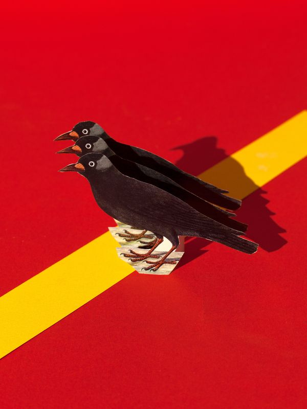 © Federico Ciamei - Image from the Travel without moving photography project