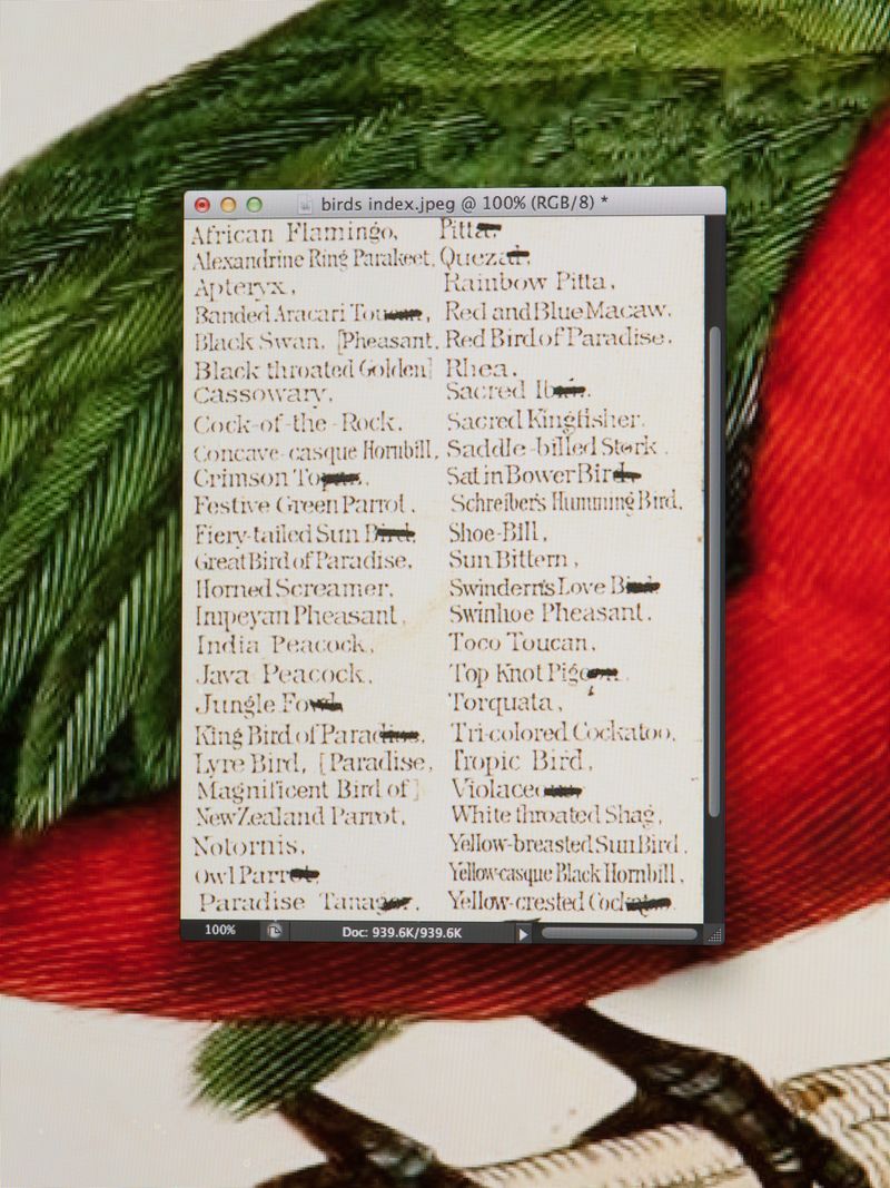 © Federico Ciamei - Image from the Travel without moving photography project