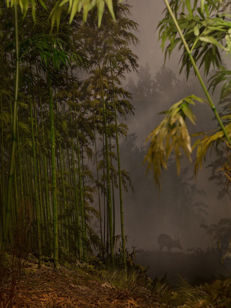 © Federico Ciamei - Image from the Travel without moving photography project