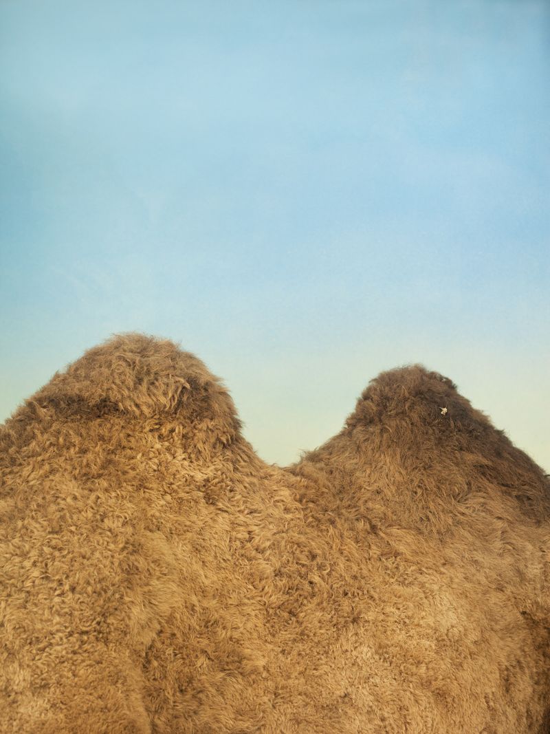 © Federico Ciamei - Image from the Travel without moving photography project