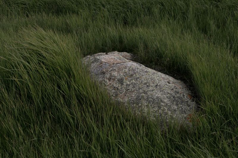 © NADEZHDA ARESHINA - Image from the Altai republic photography project