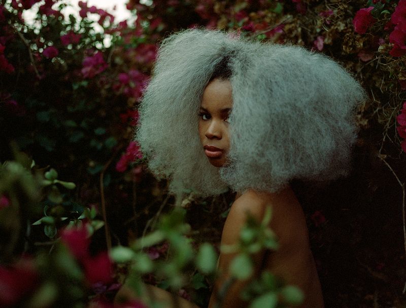 © Chloe Aftel - cheeno