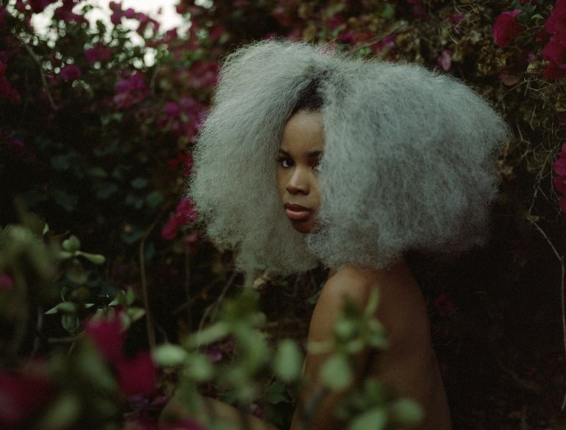 © Chloe Aftel - cheeno