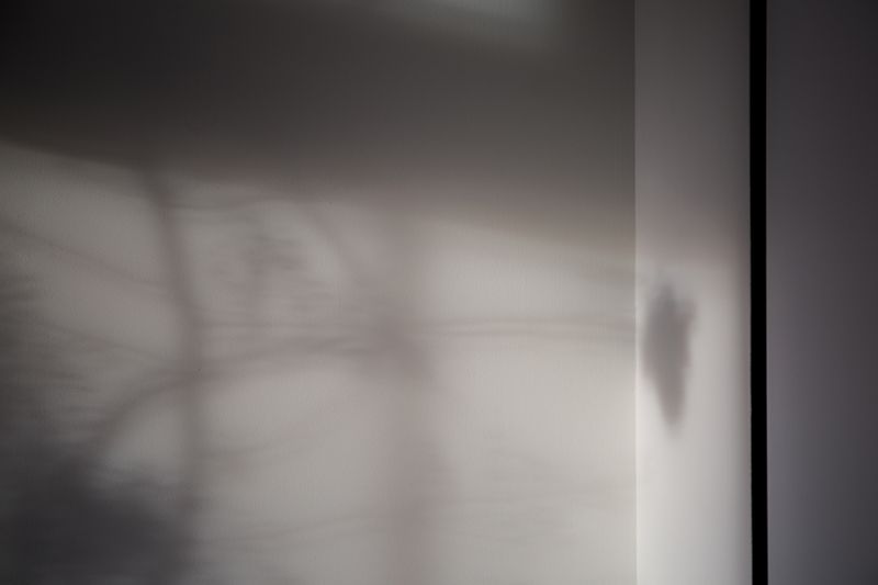 © Saskia Wesseling - Image from the In the shadow of the virus photography project