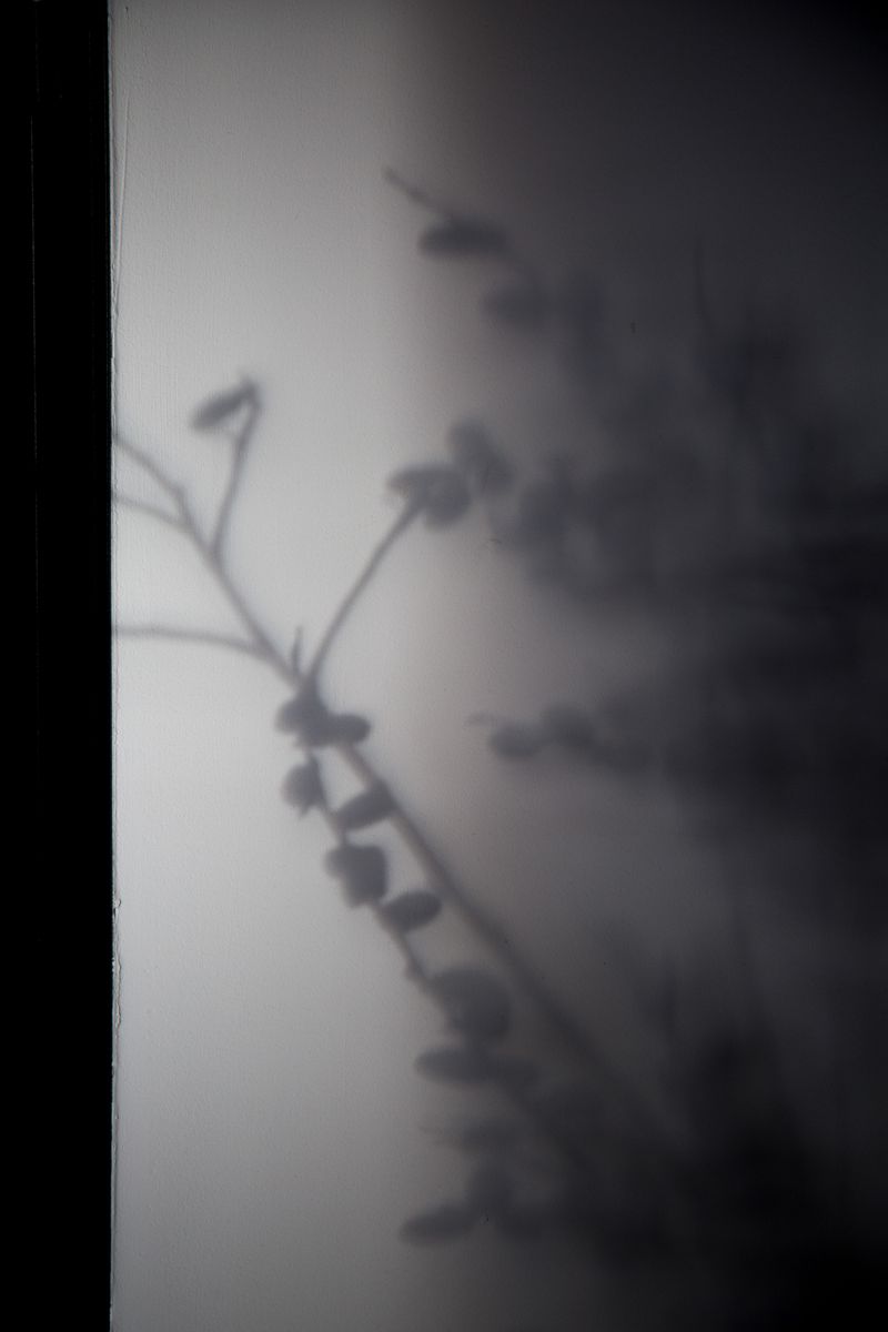 © Saskia Wesseling - Image from the In the shadow of the virus photography project