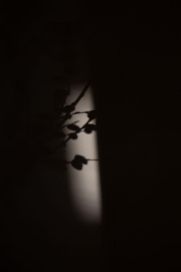 © Saskia Wesseling - Image from the In the shadow of the virus photography project