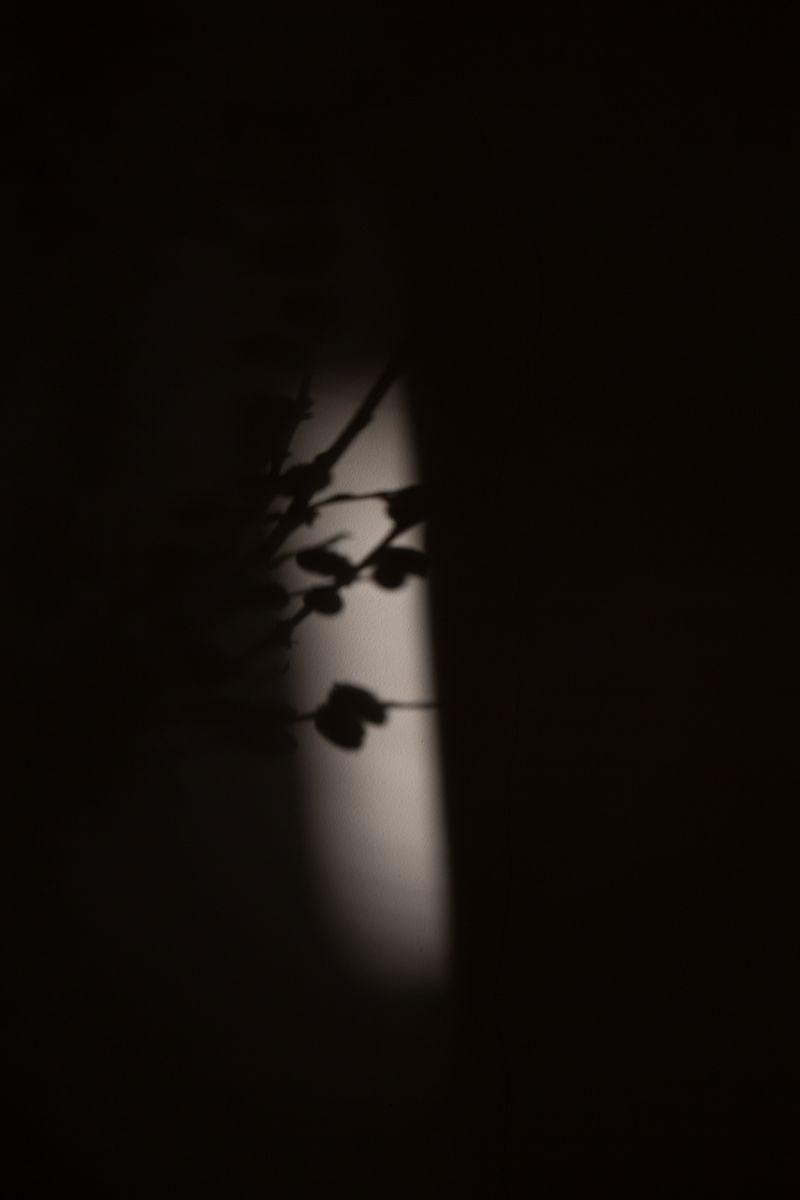 © Saskia Wesseling - Image from the In the shadow of the virus photography project