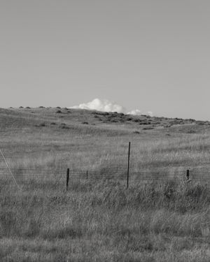 Nothing Belongs to Anyone