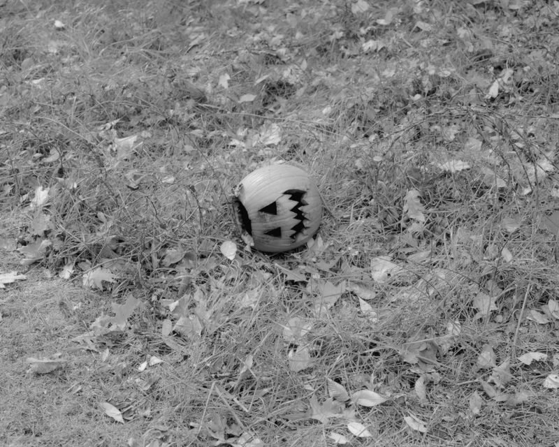 © Daniel Ribar - Image from the Nothing Belongs to Anyone photography project