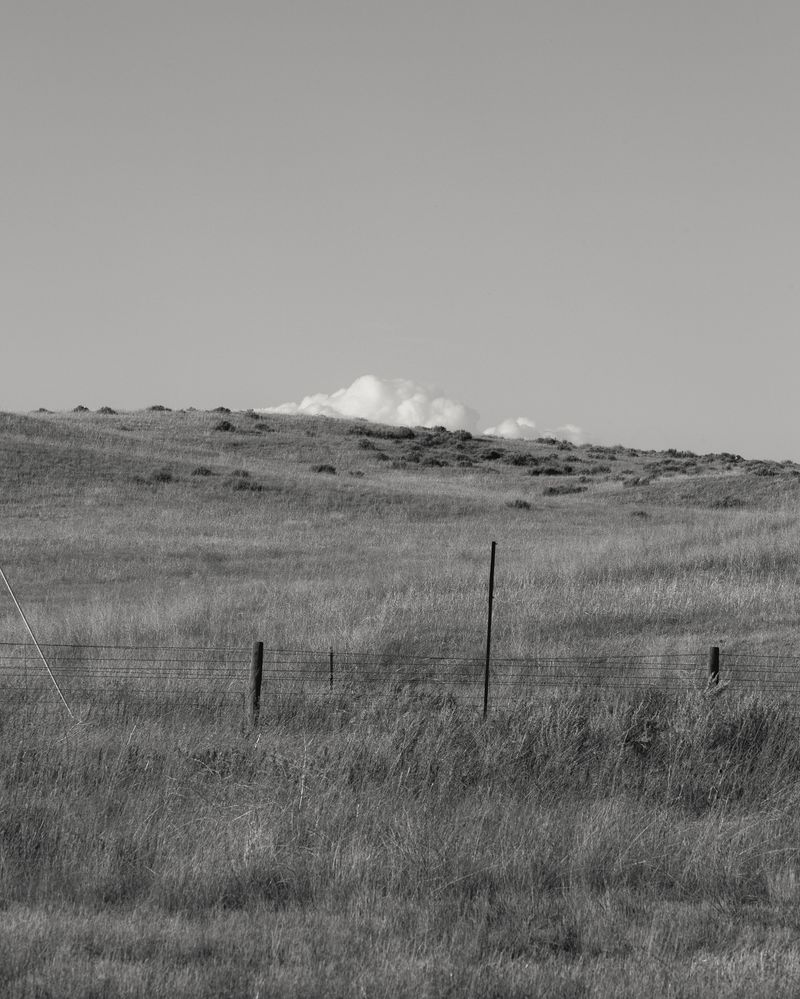 © Daniel Ribar - Image from the Nothing Belongs to Anyone photography project