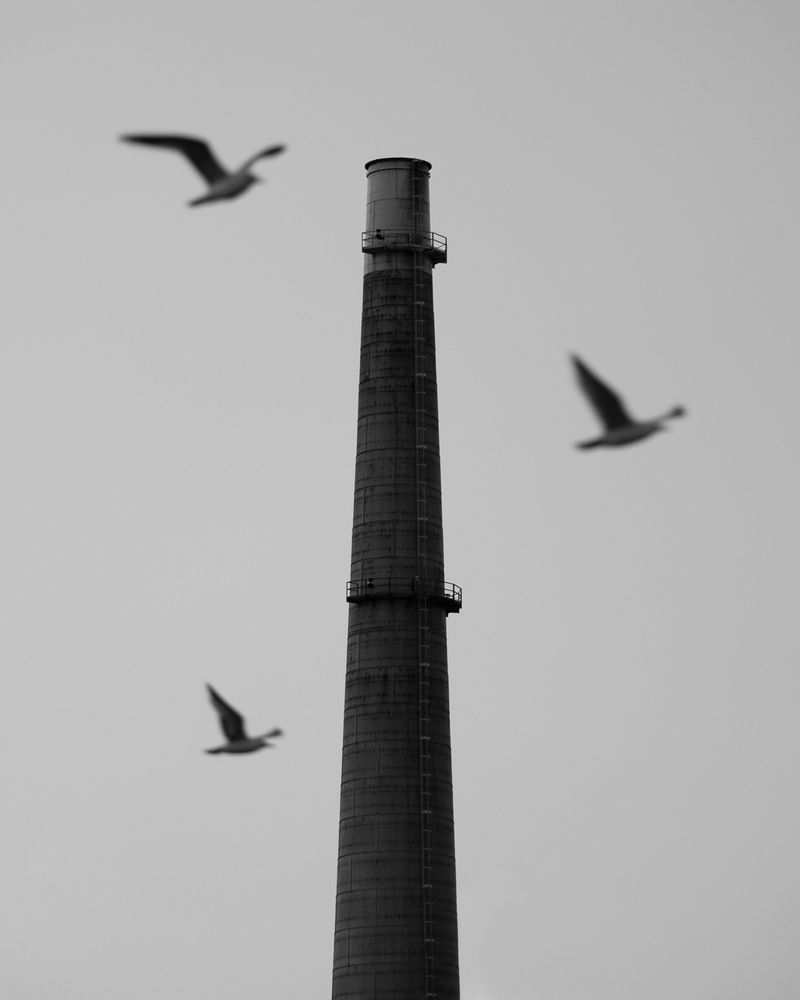 © Daniel Ribar - Image from the Zug Island photography project