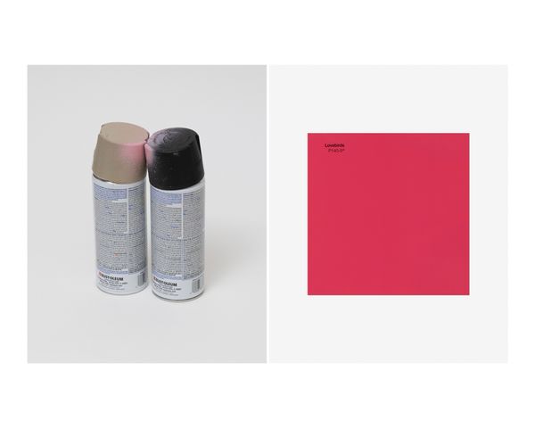 © Daniel Ribar - Image from the Language of Function photography project