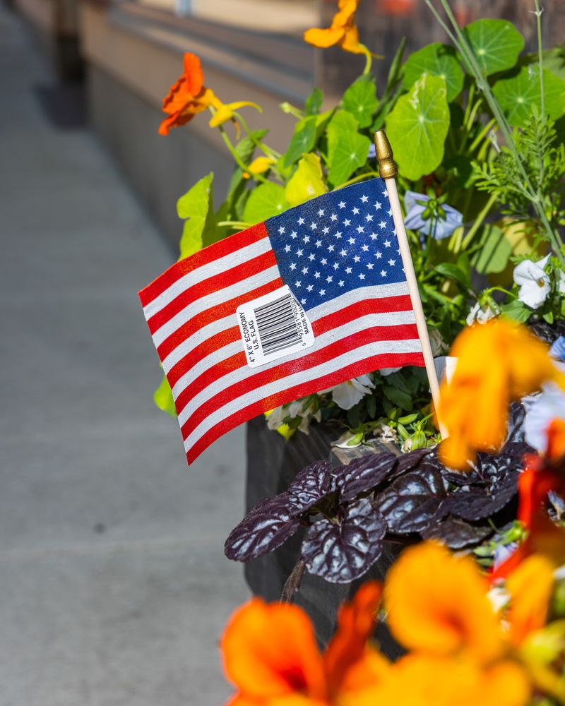 © Daniel Ribar - Image from the VIOLET photography project