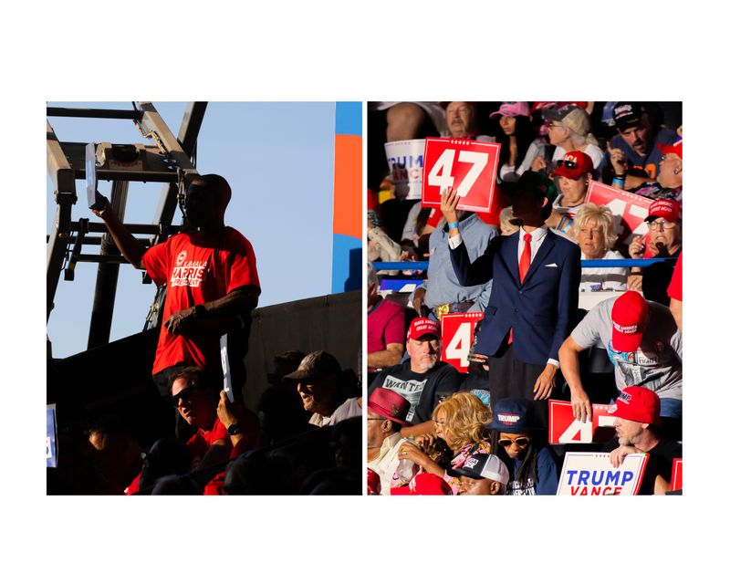 © Daniel Ribar - Image from the Violet photography project