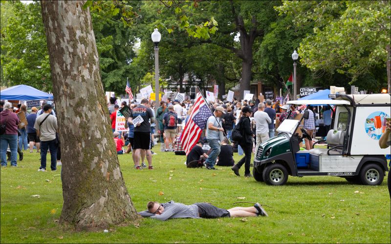 © Daniel Ribar - Image from the VIOLET (book) photography project