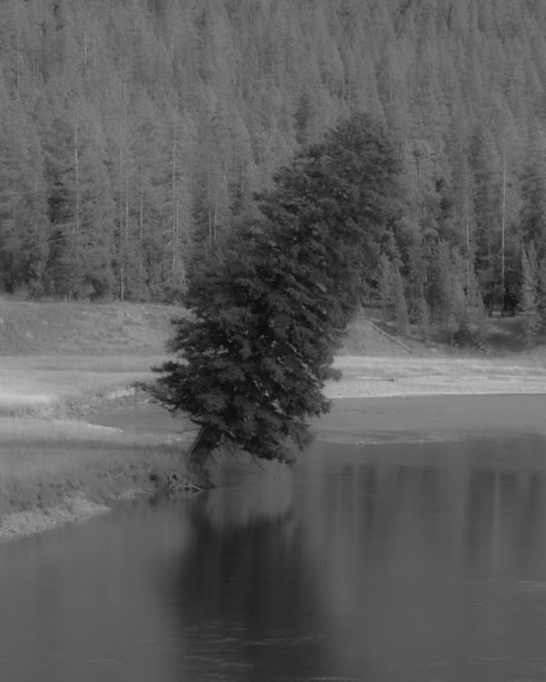 © Daniel Ribar - Image from the Some Things Last a Long Time photography project