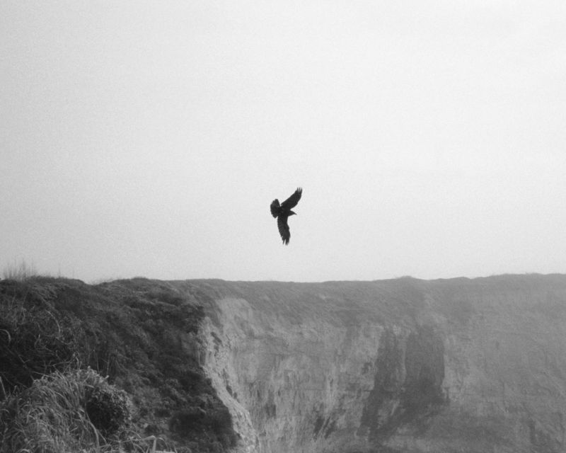 © Daniel Ribar - Image from the Some Things Last a Long Time photography project