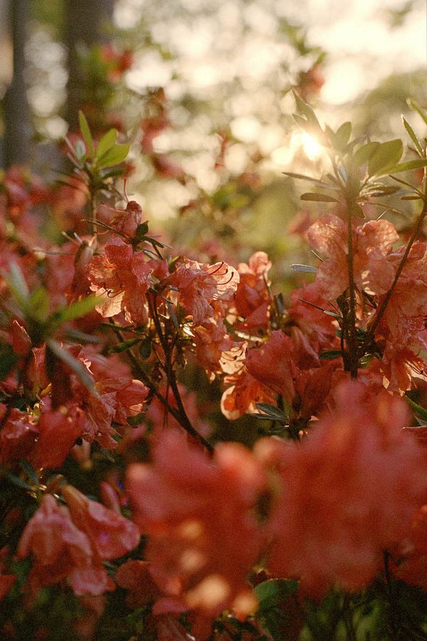 © Liz Sanders - Image from the Be Here to Love Me photography project