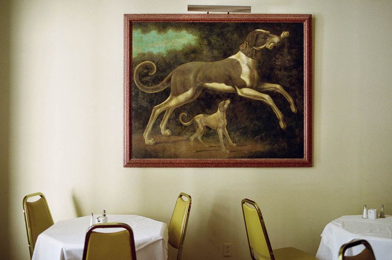 © Liz Sanders - Image from the Be Here to Love Me photography project