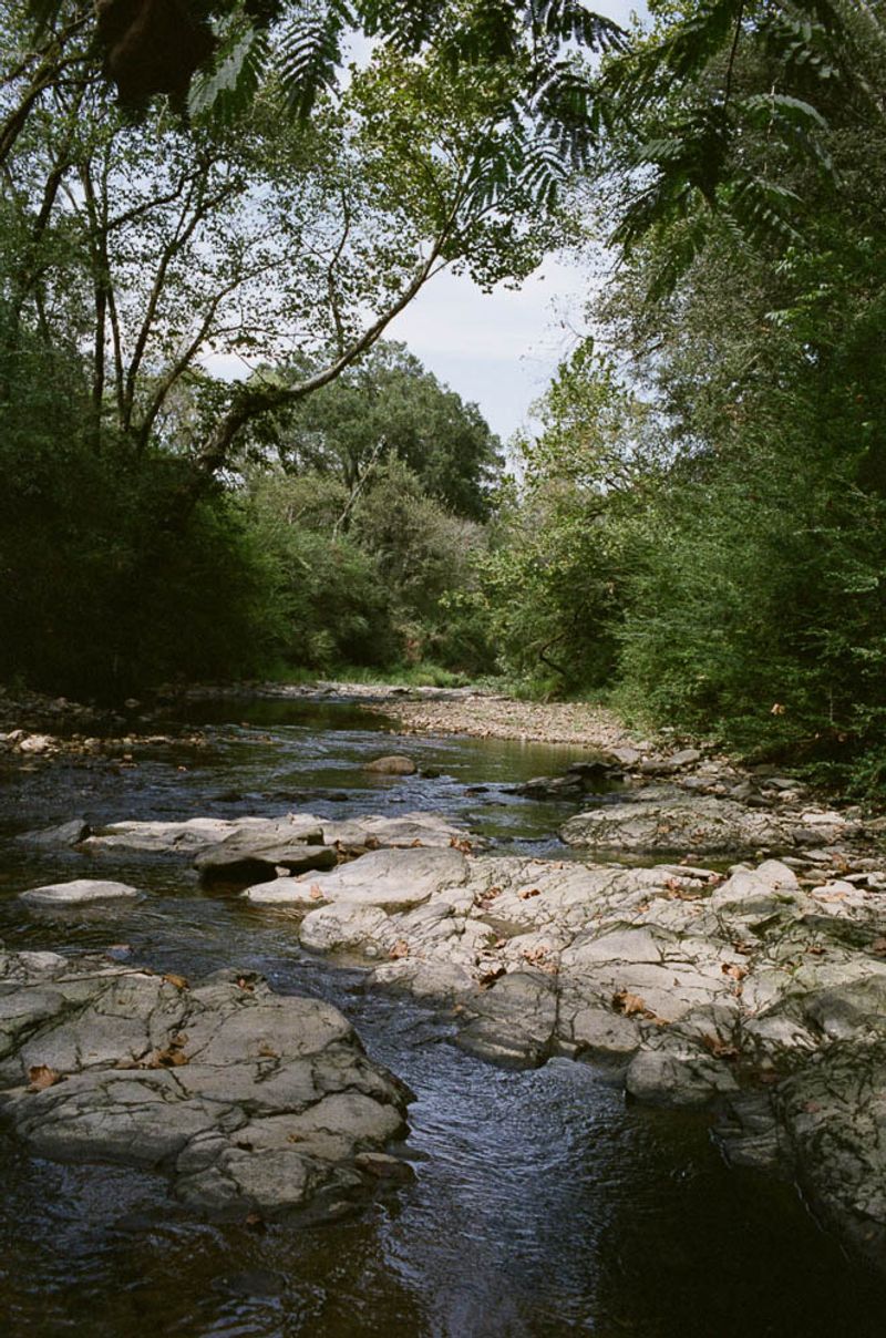 © Liz Sanders - Image from the Once a Father photography project