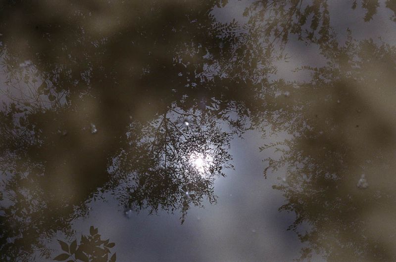 © Liz Sanders - Image from the Once a Father photography project