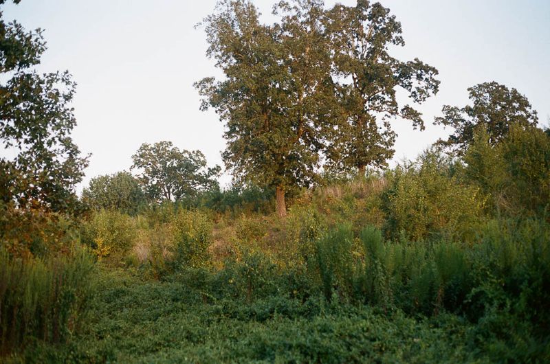 © Liz Sanders - Image from the Once a Father photography project