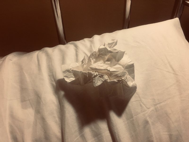 © Melissa Ianniello - 13