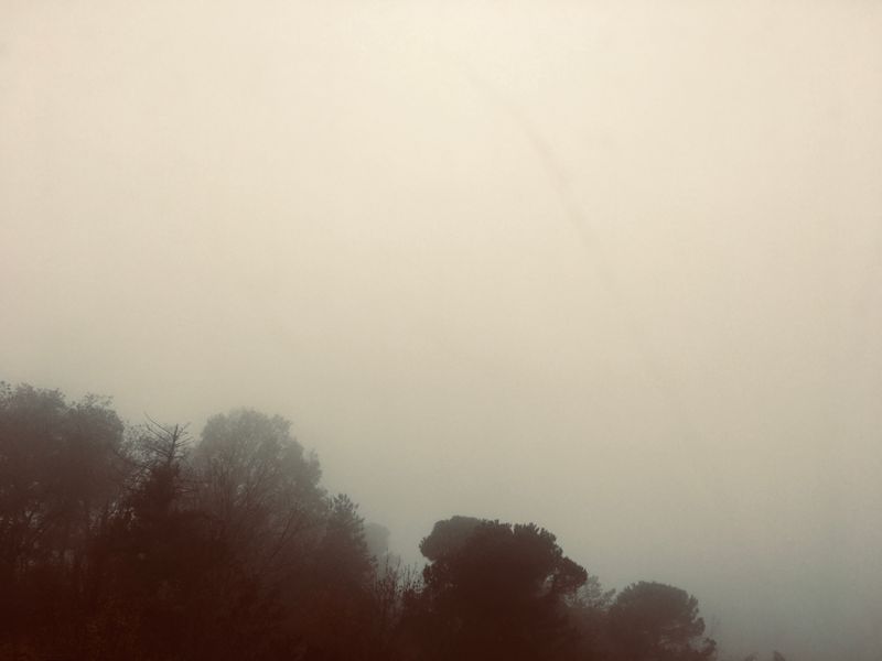 © Melissa Ianniello - 08