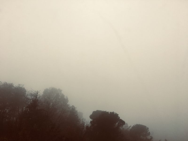 © Melissa Ianniello - 08