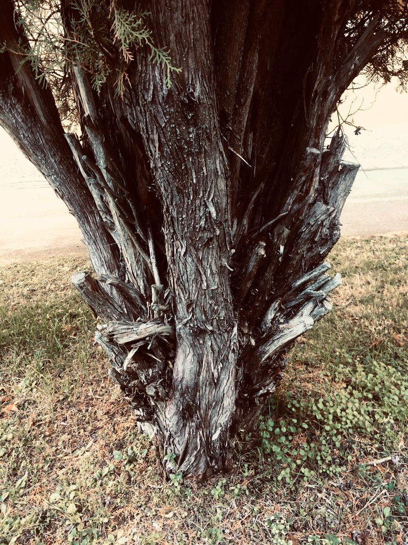 © Melissa Ianniello - 18