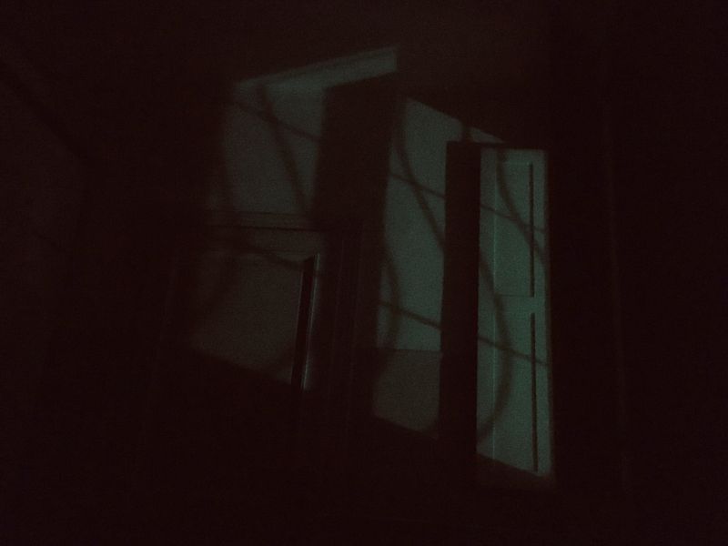 © Melissa Ianniello - 11