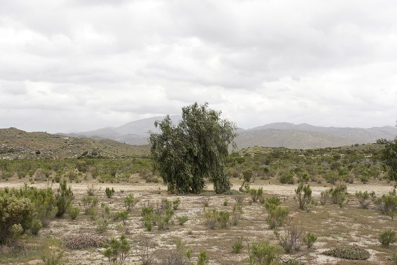 © Mónica Arreola - Series Valle San Pedro
