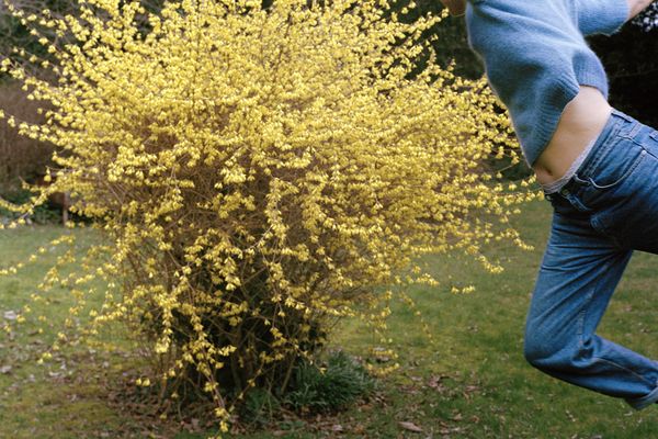 © Gabby Laurent - Image from the Falling photography project