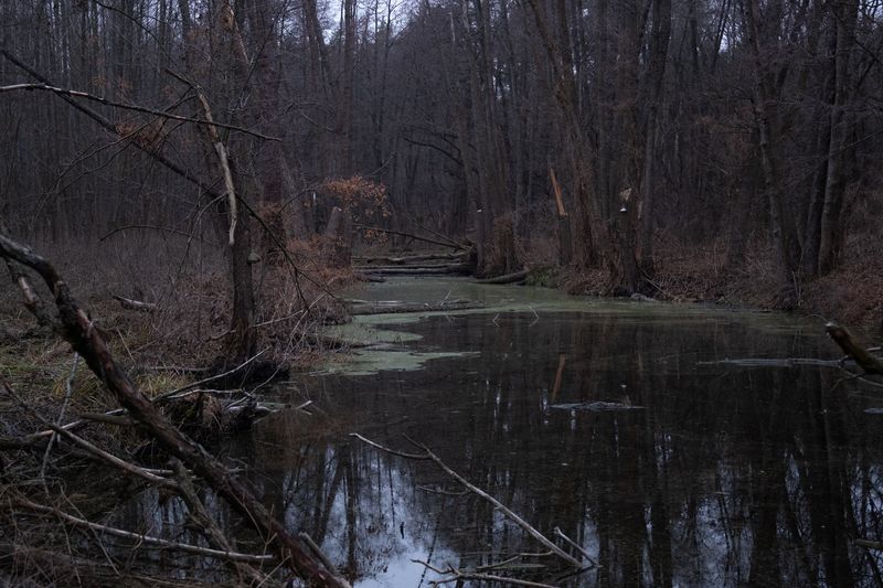 © Maryna Shtanko - Image from the Looking For Balance photography project