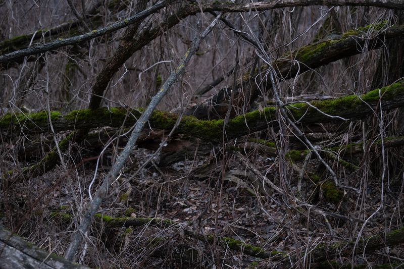 © Maryna Shtanko - Image from the Looking For Balance photography project