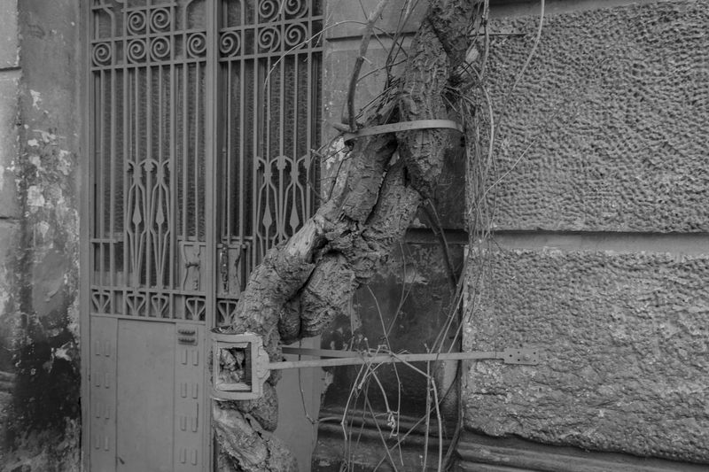 © Maryna Shtanko - Image from the Looking For Balance photography project