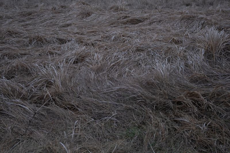 © Maryna Shtanko - Image from the Looking For Balance photography project