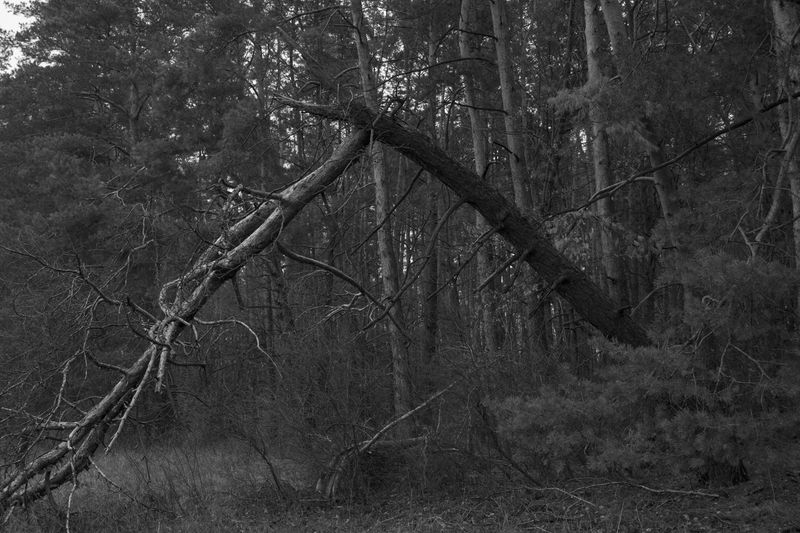 © Maryna Shtanko - Image from the Looking For Balance photography project