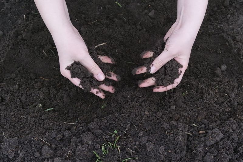 © Maryna Shtanko - Emotional layer: Still from a video-performance.