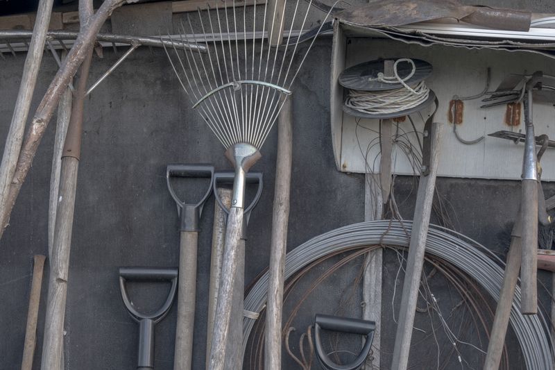 © Maryna Shtanko - Emotional layer: Photo from the village where my parents live in Poltava Oblast, Ukraine.