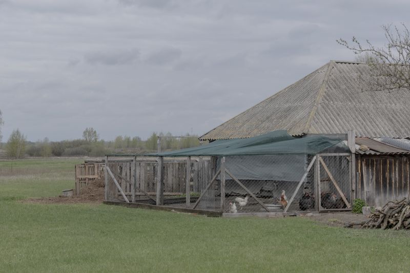 © Maryna Shtanko - Emotional layer: Photo from the village where my parents live in Poltava Oblast, Ukraine.
