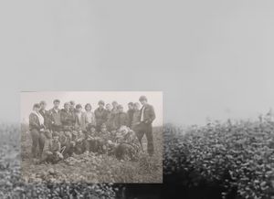 Soil Under Siege